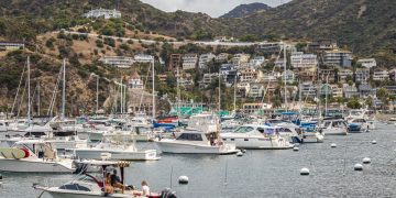 U.S. City Has Unfathomably Long Wait Just to Own a Car